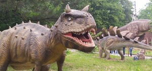 У Трускавці відкрили Парк 