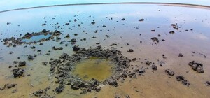 Получи ответ: можно ли отдыхать на лиманах в Одесской области