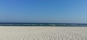 На Одещині в морі виявили холероподібний вібріон: що це означає