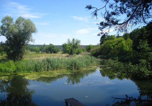 В Харьковской области еще один водоем стал опасным для купания. 