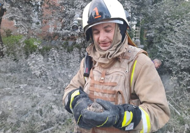 У Харкові пожежник врятував поранене пташеня з-під завалів зруйнованої росіянами школи. 