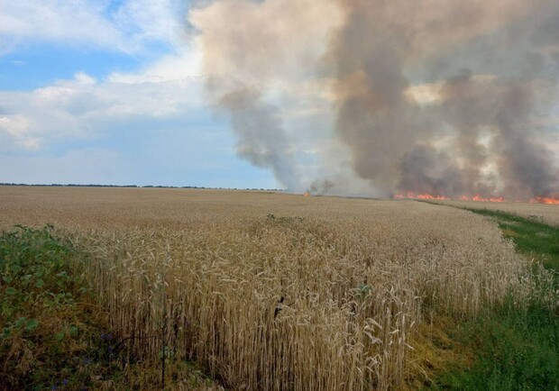Под Харьковом из-за российских обстрелов горело поле пшеницы. 