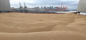 Нардеп: из порта Одессы в Турцию планируют первое отправление тестового зерновоза (обновлено)