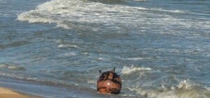 В Одесской области нашли вражескую мину: жители области могут слышать взрыв