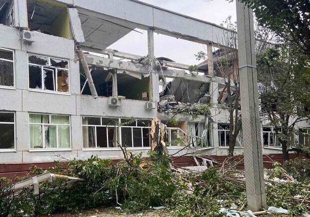 Вціліли після ракетного удару по школі: у Харкові шукають дім для черепашок. 