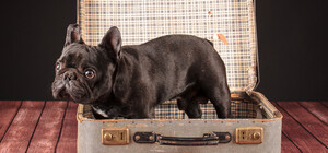 В Киеве пройдет благотворительная барахолка: когда и где