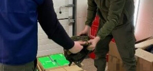 В Киеве продавали военное снаряжение, которое предназначалось для нужд ВСУ