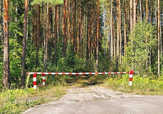 У Харківській області заборонили ходити в ліс та полювання. 