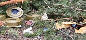 В Харьковской области запретили посещение лесов и охоту