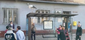 На Личаківській відловили заблукале лелеченя