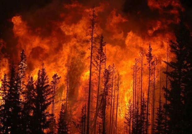 На окупованій території Харківської області повністю згорів Ізюмський ліс - 