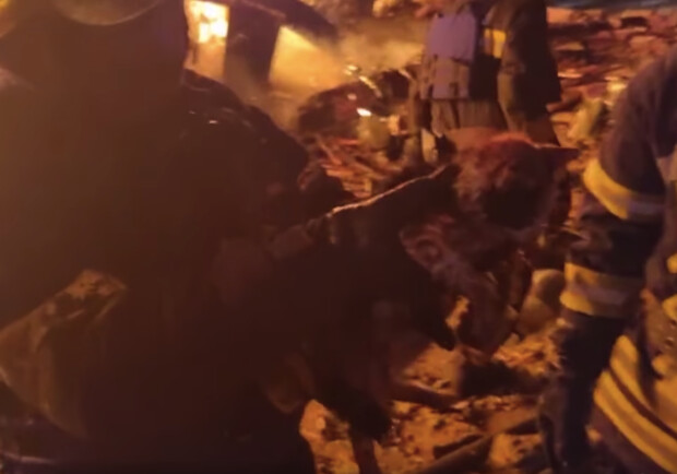 Рятувальники винесли з палаючого зруйнованого ресторану у Харкові кошеня (відео) 