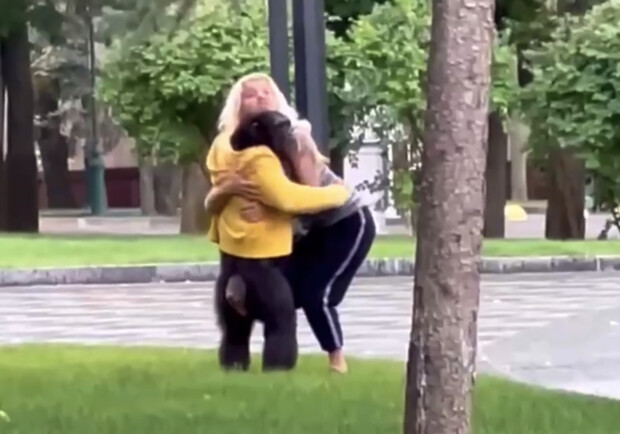 В центре Харькова бегала обезьяна: что случилось - 