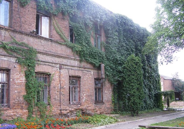 Старый дом, полностью обвитый диким виноградом, навевает какую-то тайну, – это административное здание ботсада. Фото автора.