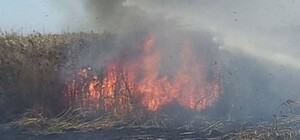 В ГСЧС и Одесской ОВА объяснили, почему в Одессе пахло гарью