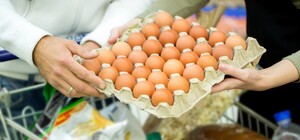 Какие товары подорожали в Днепропетровской области за месяц