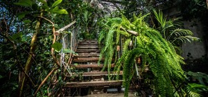 График и цены: как будет работать ботанический сад в Днепре в ноябре