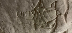 На Подолі було виявлено древню печеру