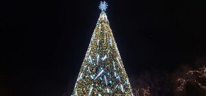 Нужно ли в Запорожье устанавливать новогоднюю елку: как проголосовать