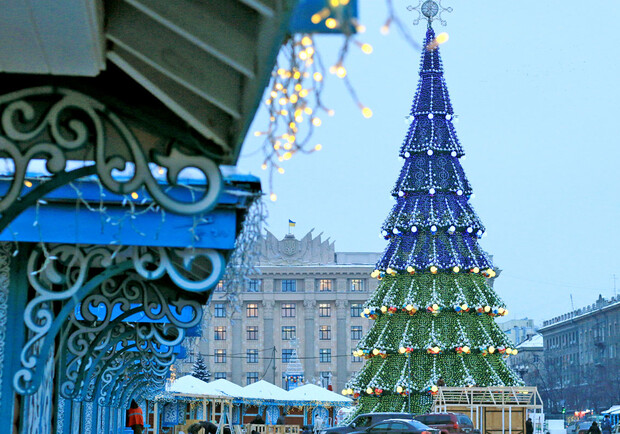 В мэрии Харькова рассказали, будут ли устанавливать новогоднюю елку. 