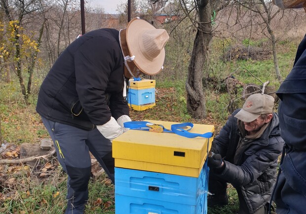 Пчел из Харьковской области эвакуировали под Львов. 