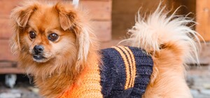 Підприємство 