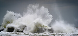 Туман, снег и шторм: как менялась погода в Одессе последние дни