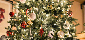 Скільки коштують ялинки на ринках Полтави