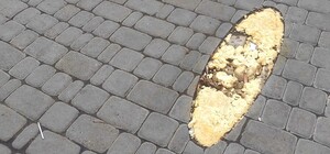 Со Старосенной площади пропала скульптура дельфина: что случилось