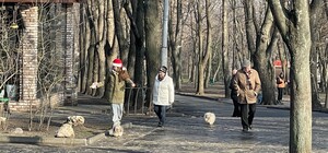 Исторический максимум: в Днепре зафиксировали температурный рекорд