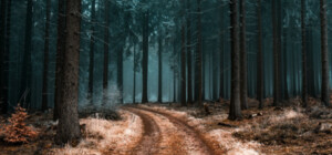 В Харьковской области подорвался молодой парень