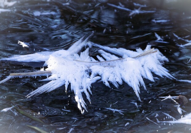 В Харькове заметили необычное зимнее явление - фото: Игорь Кибальчич