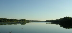В Харькове водохранилище незаконно использовали для разведения рыбы