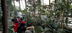 В Днепре на выходных будет бесплатно работать ботанический сад: график