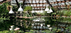 В Днепре возобновляет работу ботанический сад: график и цены