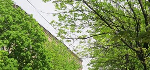 На Карла Маркса гуляли как по Бродвею и играли как в Лас-Вегасе