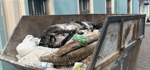 Получи ответ: правда ли, что в Одессе выбросили корову на мусорку 