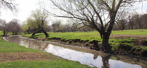 В Одесской области экологическая катастрофа: в реку попали нечистоты