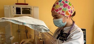 В Днепре родила женщина, которая всю беременность провела в подвале: что с ребенком