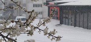 6 квітня Львівщину засипало снігом – відео 
