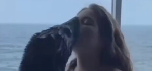 Одесситов возмутили фотосессии дельфинария 