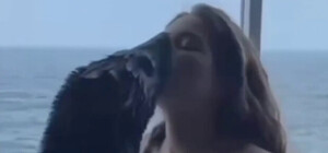 Нові подробиці скандалу у 