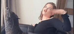 Хотіли показати як грають котики: у 