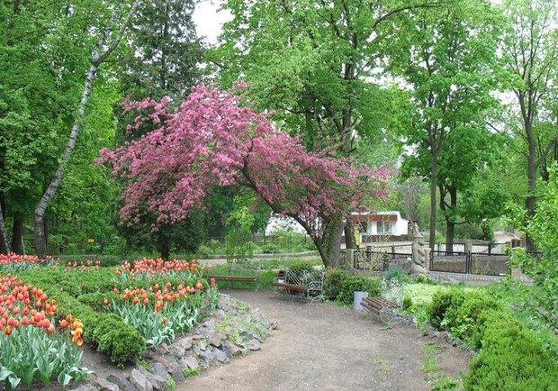 В Харьковском зоопарке райские яблоки все в цвету. Фото с сайта Харьковского зоопарка.