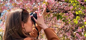 Цветущие деревья и экскурсии: в Днепре на выходных будет работать ботсад