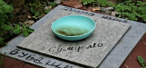 Салтовка, Новые Дома, Павлово Поле: в Харькове обнаружили массовые захоронения домашних животных