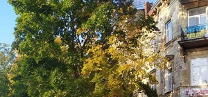 У Львові виявили сім'ю росіян, які понад рік нелегально проживала у місті