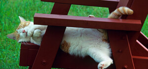 Какая погода будет в Киеве на выходных 3-4 июня