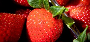 Где на этой неделе в Киеве пройдут продовольственные ярмарки. Адреса