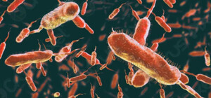 Одесские медики рассказали о том, грозит ли Одессе холера